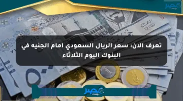تعرف الآن: سعر الريال السعودي أمام الجنيه في البنوك اليوم الثلاثاء